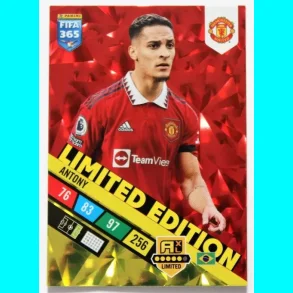 Antony - Limited Edition