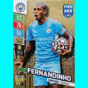 Fernandinho - Captain