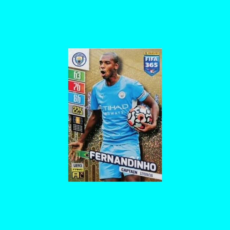 Fernandinho - Captain